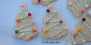 Biscuit Sapin De Noel Au Thermomix