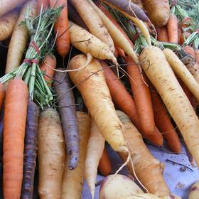 comment-choisir-et-conserver-ses-carottes-par-laure