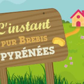 l-instant-pur-brebis-pyrenees-:-s02e02-:-l-instant-snacking