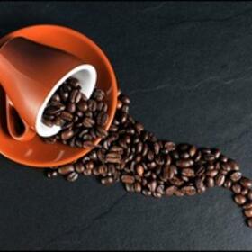 le-cafe-de-l-arbre-a-la-tasse