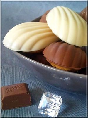 Madeleines sur coque en chocolat
