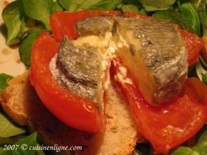 Tomates grillées au chèvre