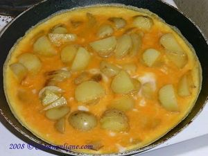 Tortilla